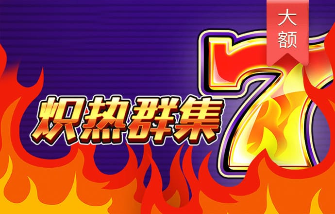 2024新澳门精准正版资料大全